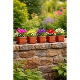 Binbirreyon Kare Saksı Tabaklı Terracota Saksı 11X11X9CM 0,5lt Adetli Setler AH194 - 5 Adet