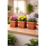 Binbirreyon Kare Tabaklı Saksı 1,5lt Terracotta 3 Adetli Set Kahverengi 15X15X13CM AH106 - BÜYÜK-KÜÇÜK