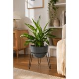 Binbirreyon Metal 3 Ayaklı Ahşap Desenli Plastik Saksı 26x30cm 6Lt AH511-98