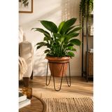 Binbirreyon Metal Ayaklı Saksılık Saksı Standı 19x20cm (Saksı Dahil) AH510