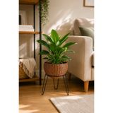 Binbirreyon Plastik Rattan Desenli Metal 3 Ayaklı Saksı 23x30cm AH510-164