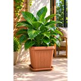 Binbirreyon Tabaklı Kare Saksı Büyük Boy Terracotta Saksı 29x29x27cm 13Lt Kahverengi AH227