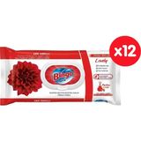 Bingo Yüzey Temizlik Havlusu Lovely 96'lı X12