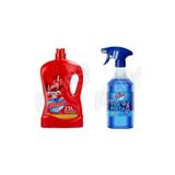 Bingo Yüzey Temzileyici 2,5 L + Kireç Çözücü 900 Ml 2'Li Set
