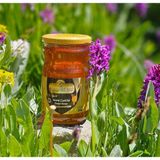 Bingold Süzme Çiçek Balı 850 Gr Gold