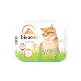 Binoo Kedi Çimi, %100 Doğal, Toprak ve Çim Tohumu İçeren Set