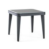 Bintaş Mobilya Antrasit 90x90 cm Bahçe Masası