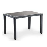 Bintaş Mobilya Antrasit Dış Mekan 120x80 cm Bahçe Masası