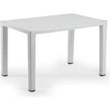 Bintaş Mobilya Beyaz Dış Mekan Bahçe Masa 80X120.CM