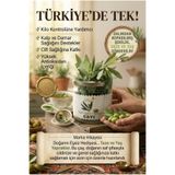 BİO KÖYCEĞİZDEN SOFRANIZA DOĞAL DETOKS / Yaş Yeşil Zeytin Yaprağı Çayı – Kurutulmamış & Antioksidan – 50 g Cam Kavanoz