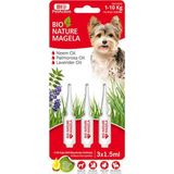 Bio Nature Magela Köpek Ense Damlası 10-20 KG 3x3 ml