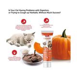 Bio Petactive Bio Cati Malt Paste 100 ml Evcil Hayvan Sağlığına Uygun Üst Kalite Malzemelerle - 025