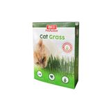 Bio Petactive Bio Pet Active Grass Kit Natual Kedi Çimi