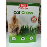 Bio PetActive Bio Pet Active Kedi Çimi Yeni