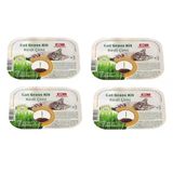 Bio Petactive Cat Grass Kit Doğal Kedi Çimi Kiti X 4 Adet