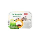 Bio PetActive Cat Grass Kit Fileli Doğal Kedi Çimi Kiti - 2 Adet