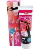 Bio PetActive Glucochond Plus Gel 100 ml Kedi Eklem Ve Kas Destekleyici