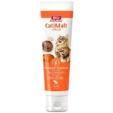 Bio Petactive Plus Kedi Malt Macunu 100 ml