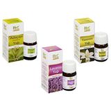 Bio Vitals Buhurdanlık Yağı Kokusu 3 Lü Özel - 60 ml