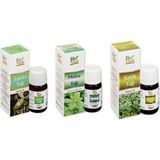 Bio Vitals Melisa Jojoba Kekik-Aromatik Masaj-Cilt Bakım Yağ Seti
