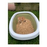 biocal Bıocal 6 Mm %100 Doğal Çam Pelet (kedi Kumu)15 Kg 25 Lt