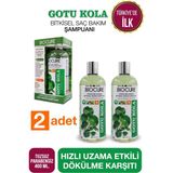 Biocure Gotu Kola Saç Dökülme Karşıtı Bitkisel Şampuan 10 Bitki 4 Vitaminli x 2 Adet