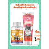 BioFeline Bağışıklık Zayıflığı ve Gelişim Desteği Sağlayıcı Yavru Kediler İçin Tablet & Malt Set