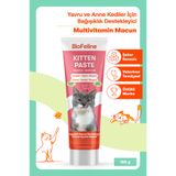 BioFeline Büyüme ve Enerji İhtiyacı Destekleyici Yavru ve Anne Kediler İçin Malt 100g
