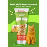 BioFeline Derma Malt Macun 100g Kediler İçin Tüy Sağlığı Destekleyici Lezzetli Formül