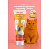 BioFeline Kedi Multivitamin Macunu Malt Aromalı 18 Vitaminli Bağışıklık ve Tüy Sağlığı 100 gr Şekersiz