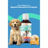BioFeline Kedi ve Köpekler İçin Sıvı Probiyotik 100 ml – Prebiyotik Destekli, Sindirim ve Bağırsak Florası Desteği | Köpek Probiyotik | Probiyotik Damla | Pet Probiyotik