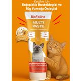 BioFeline Kediler Için Bağışıklık Destekleyici Ve Tüy Yumağı Önleyici Multivitamin Macun 100g