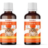 Biofeline Kediler İçin Plus B Damla 50ml ve Tüy Dökülmesini Engelleyici Biotinli Tüy Sağlığı Damlası (2 paketi)
