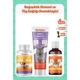 BioFeline Kediler İçin Tüy ve Bağışıklık Destek Seti – Malt Macunu 100g + Plus+B 50ml + Immune+C 75 Tablet