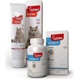 Biofeline Set-3 ( Multi Paste/ımmune+C )