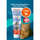 Biofeline Stres Ve Huzursuzluk Azaltıcı Kediler İçin Malt Macunu, Doğal Sakinleştirici, 30 G | Deneme Boy