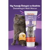 BioFeline Tüy Yumağı ve Sindirim Problemleri Azaltıcı Kediler İçin Malt Macunu 100 g