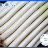 Biogen İnegöl92 10 gr 1 Paket Pırasa Tohumu