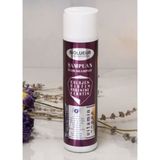 Biolueur 250 ml Kolajen Biotin At Kuyruğu Şampuan