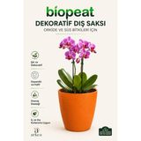 BioPeat 12 Pot Dekoratif Dış Saksı Turuncu | 12 Pot Şeffaf Orkide Saksısı Hediyeli