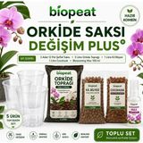 Biopeat Orkide Saksı Değişim Seti 3 Adet Şeffaf Saksı 3 Litre Orkide Toprağı 1 Litre Kil Bilyesi