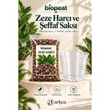 Biopeat Zeze Harcı 7 Litre + Delikli Şeffaf Saksı | Torf, Ince Pomza ve Perlit Içeren Saksı Değişim Seti