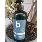 Bıorganıc Dengeleyeci Sampuan (Oily Hair)