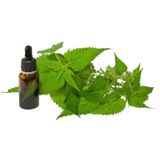 Biorganix Life 20 mL Isırgan Tohumu Yağı