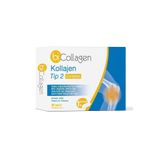 Biosal Collagen Tip 2 Kolajen Multi Complex Hyaluronik Asit Msm Akgünlük Çinko Selenyum