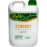 Biosas Synergy 5 lt İkincil Element Katkılı Sıvı Organomineral Gübre