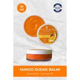 Biosecret The Balm Shea Butter Dudak Balmı (MANGO) 10ml Bio87