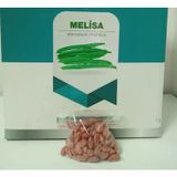 Biotek Melisa Sırık Fasulyesi Tohumu 100 Gr 1 Adet