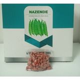 BİOTEK NAZENDE OTURAK FASULYE TOHUMU 5 KG 1 ADET