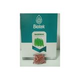 biotek (Oturak) Nazende Fasulye Tohumu 100 gr 2ad